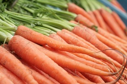 Do carrots help you see better?